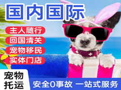 大长山机场货运国际宠物托运 【国